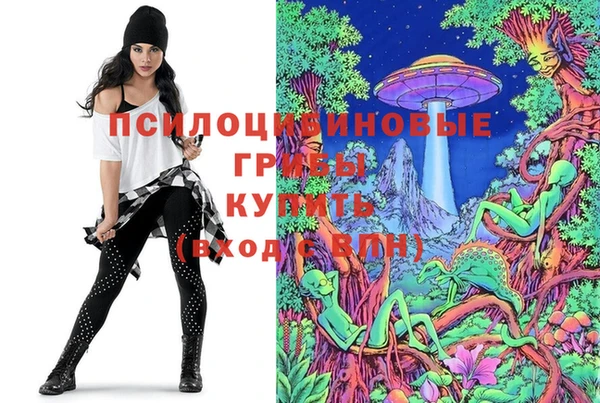 СК Белая Холуница