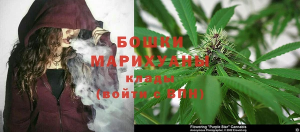 первитин Инсар